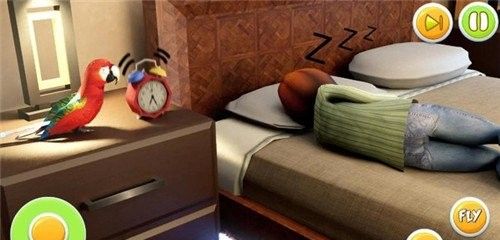 Pet Parrot Simulator 