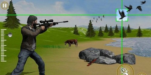 Bird Hunter Sniper 