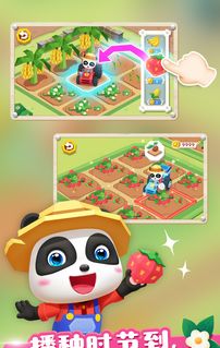 Wonderful Town Farm 