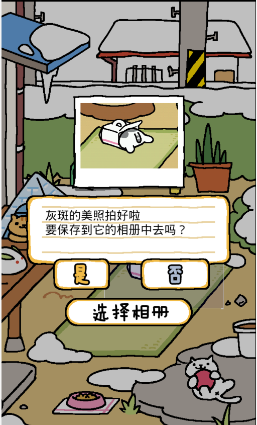 Kitty Backyard 