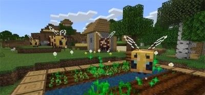 My World (International Edition) 