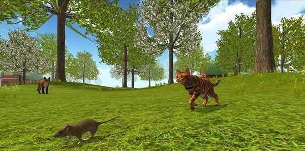 Cat Survival Adventure 