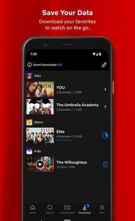Netflix 