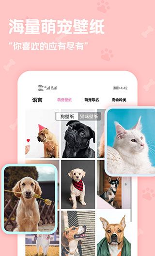 Animal Language Translator 