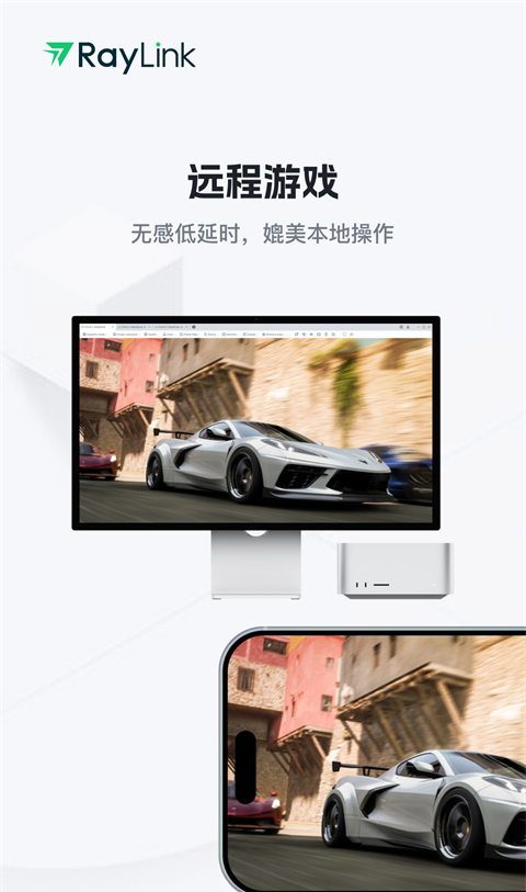 RayLink 
