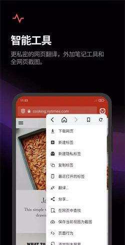 Vivaldi Browser 
