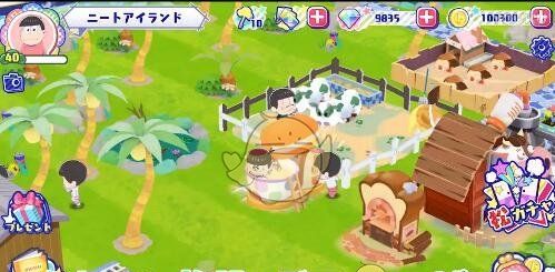 Asson Greedy Nite Island 