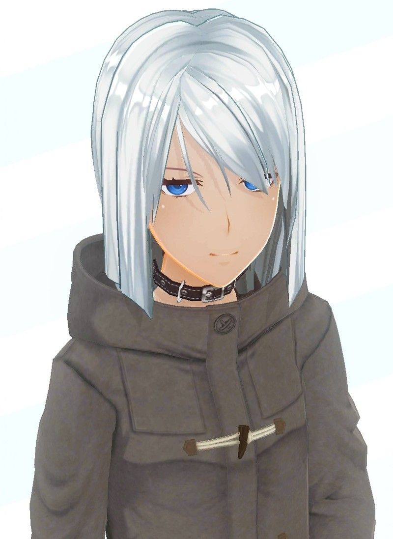 Role Customization Master 