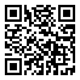 Flying Couple  QR Code Download Image