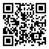 Pixel Castle  QR Code Download Image
