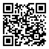 Chamber of Secrets Escape 10: Detective Fengyun  QR Code Download Image