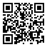 3D Aircraft Flight Simulator  QR Code Download Image