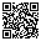 Flying Ninja  QR Code Download Image