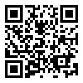 Lightning Raid  QR Code Download Image