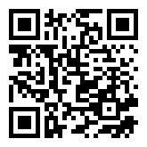 left and right pinball  QR Code Download Image