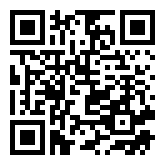 Simulated flight 787  QR Code Download Image
