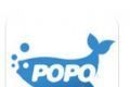 PO18 novel logo image