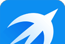 Thunder Bird logo image