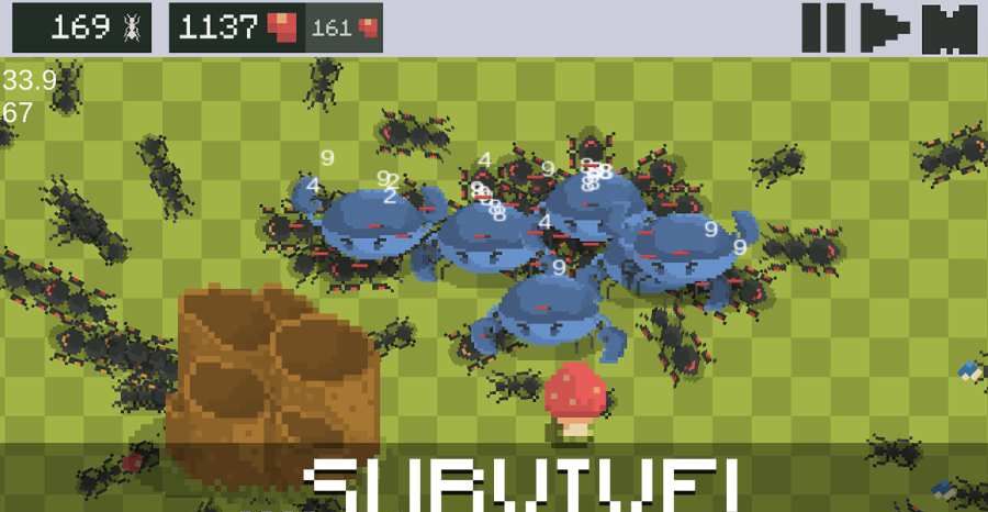 Ant colony 