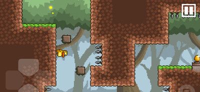Anti-gravity Duck 