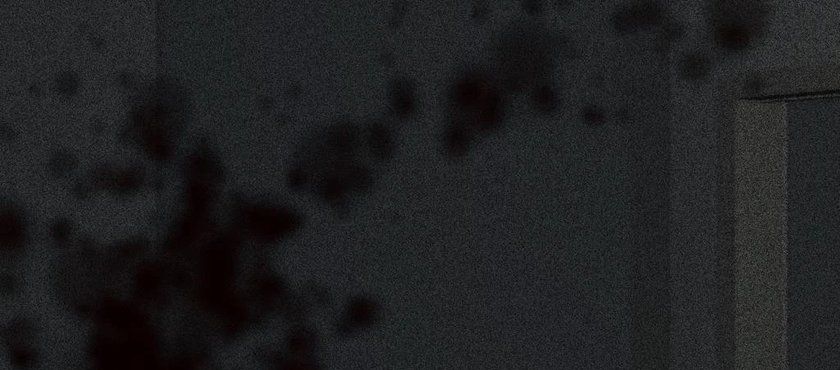 Export ghost 